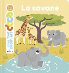 La savane | Boyer, Jeanne. Auteur