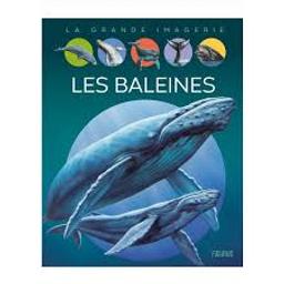 Les baleines | Vandewiele, Agnès. Auteur