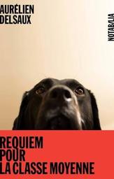 Requiem pour la classe moyenne / Aurélien Delsaux | 