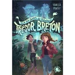 Sur les traces du fabuleux trésor breton / Vanessa Pontet; illustrations Artemisia | Pontet, Vanessa. Auteur